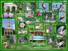Lednice 2 2016